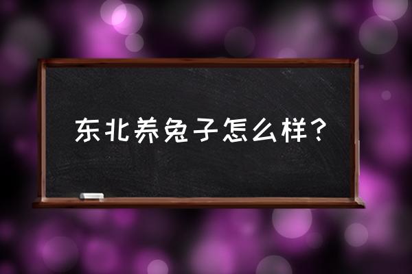 东北养殖兔子怎么样 东北养兔子怎么样？