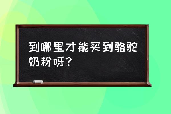 驼奶粉有实体店吗 到哪里才能买到骆驼奶粉呀？