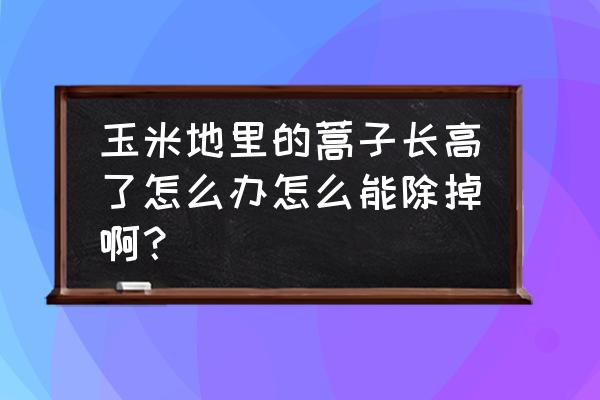 草甘膦能除蒿草吗 玉米地里的蒿子长高了怎么办怎么能除掉啊？