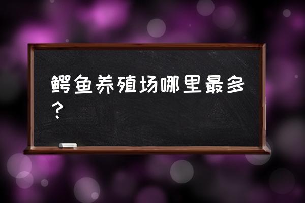 中国哪里有鳄鱼养殖场 鳄鱼养殖场哪里最多？