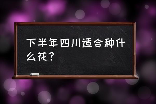 在四川农村养花什么合适 下半年四川适合种什么花？