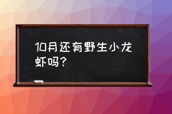 山东野外几月份有小龙虾 10月还有野生小龙虾吗？