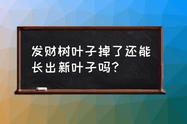 网购的发财树苗叶子掉了还能活吗 发财树叶子掉了还能长出新叶子吗？