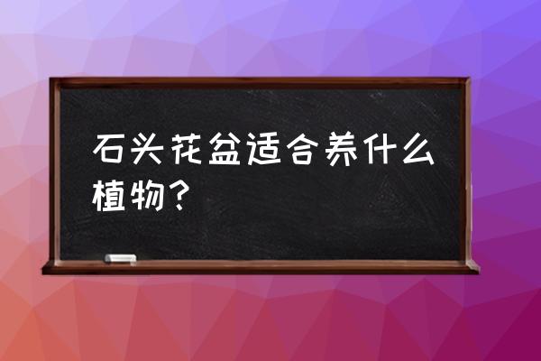 石头花盆养多肉可以吗 石头花盆适合养什么植物？