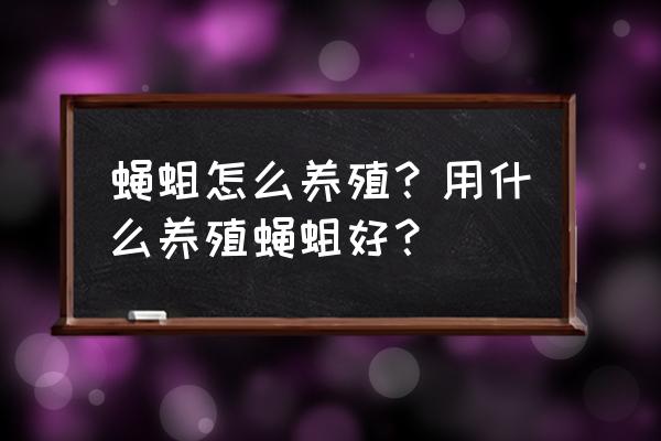 哪有蝇蛆养殖基地 蝇蛆怎么养殖？用什么养殖蝇蛆好？