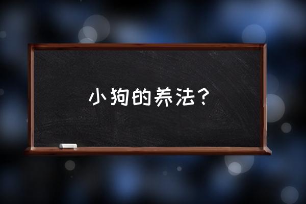 幼狗要如何养 小狗的养法？