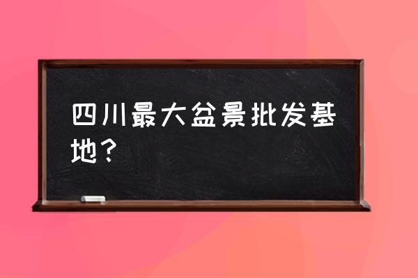 四川最大的花木市场在哪里 四川最大盆景批发基地？