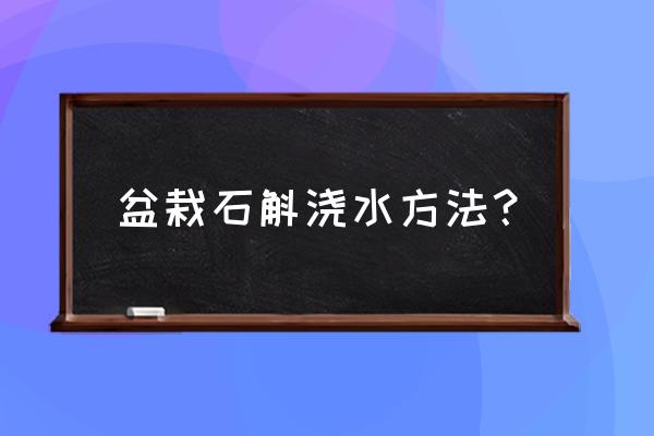 铁皮石斛盆栽浇多少水合适 盆栽石斛浇水方法？