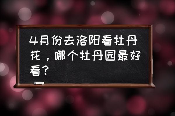 看洛阳牡丹花哪家好看 4月份去洛阳看牡丹花，哪个牡丹园最好看？