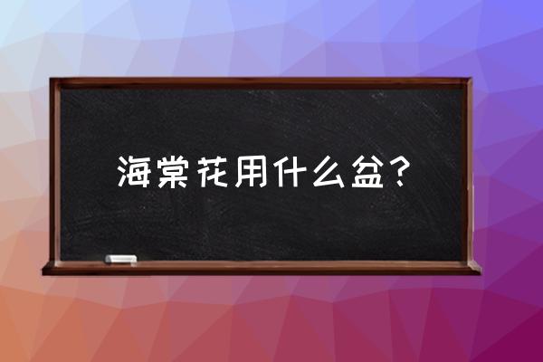 红宝石海棠适合什么盆 海棠花用什么盆？