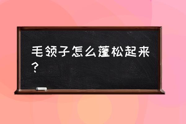 貉子毛领怎么变蓬松 毛领子怎么蓬松起来？