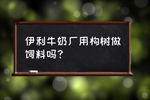 野生构树能不能做饲料 伊利牛奶厂用构树做饲料吗？