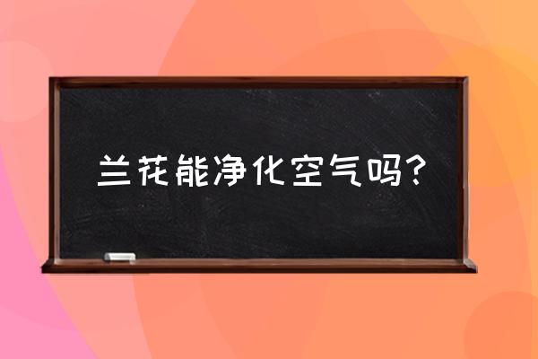 斛复兰花净化空气吗 兰花能净化空气吗？