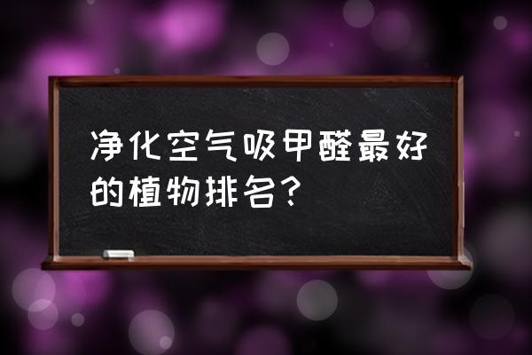 什么植物可以放在室内净化空气 净化空气吸甲醛最好的植物排名？