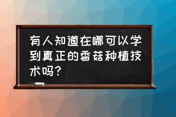 哪里可以学香菇种植技术 有人知道在哪可以学到真正的香菇种植技术吗？