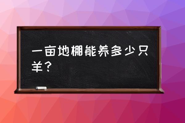 圈养两亩地能养多少多少只羊 一亩地棚能养多少只羊？