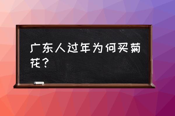 为什么广东人过年要买菊花 广东人过年为何买菊花？