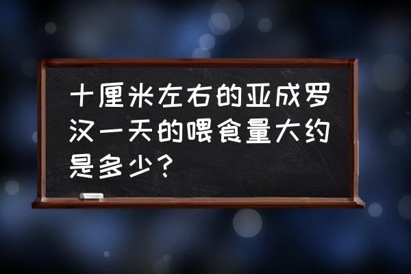 罗汉鱼一个月吃多少克饲料 十厘米左右的亚成罗汉一天的喂食量大约是多少？