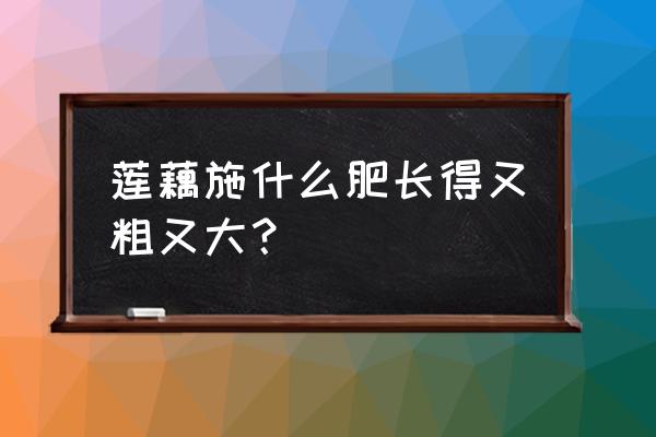 芭田复合肥适用于莲藕吗 莲藕施什么肥长得又粗又大？