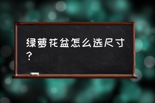 绿萝多大花盆最好 绿萝花盆怎么选尺寸？