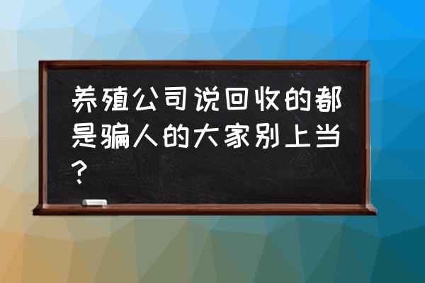 养殖业保价回收可靠吗 养殖公司说回收的都是骗人的大家别上当？