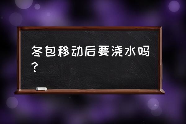 冬季移栽花草需要浇水吗 冬包移动后要浇水吗？