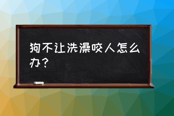 泰迪狗不让洗澡咬人怎么办 狗不让洗澡咬人怎么办？