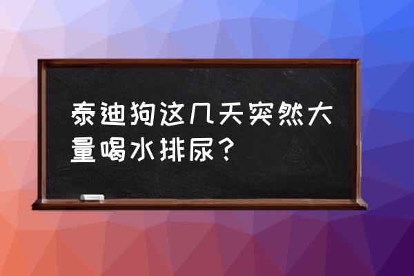 贵宾犬大量喝水什么原因 泰迪狗这几天突然大量喝水排尿？