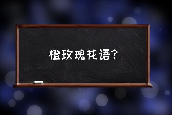 橙玫瑰代表什么意思 橙玫瑰花语？