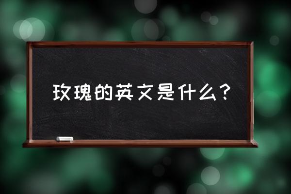 玫瑰生活用英语怎么说 玫瑰的英文是什么？