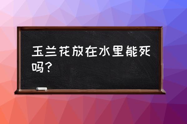 玉兰花插在水里能活吗? 玉兰花放在水里能死吗？