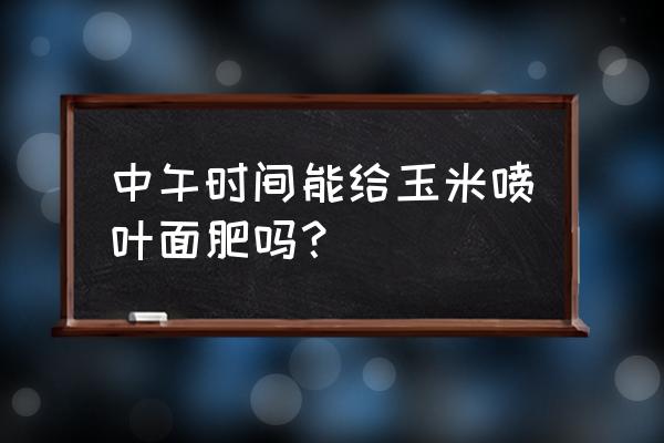 喷茄子的叶面肥可以喷玉米吗 中午时间能给玉米喷叶面肥吗？