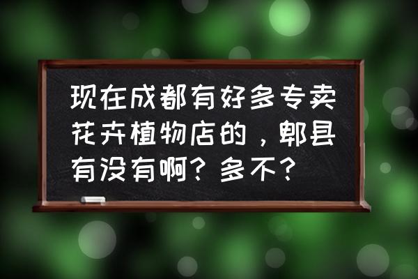 成都哪里有花卉绿植超市 现在成都有好多专卖花卉植物店的，郫县有没有啊？多不？