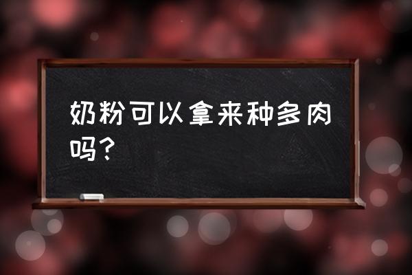 奶粉罐怎么装饰来做花盆 奶粉可以拿来种多肉吗？