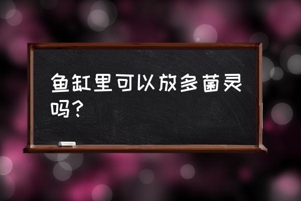 多菌灵对养鱼有危害吗 鱼缸里可以放多菌灵吗？