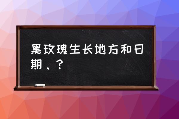 黑魔术玫瑰花开花量多吗 黑玫瑰生长地方和日期。？