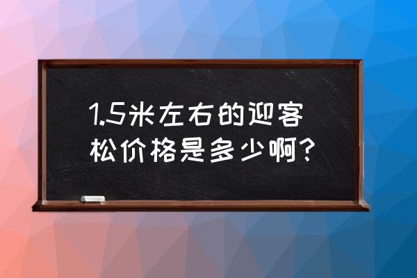 迎客松盆栽多少钱一棵 1.5米左右的迎客松价格是多少啊？