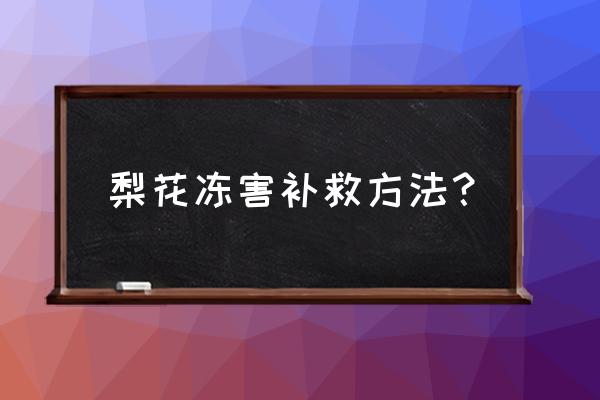 果树花期冻害怎么办 梨花冻害补救方法？