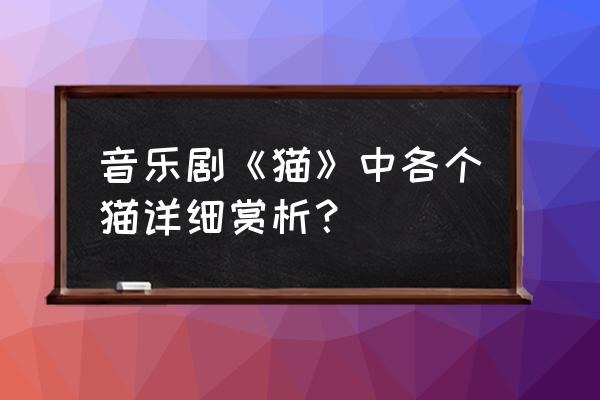 音乐剧《猫》有哪些猫 音乐剧《猫》中各个猫详细赏析？