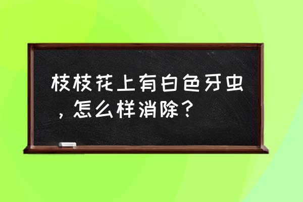 栀子花花盆长白虫子怎么办 枝枝花上有白色牙虫，怎么样消除？