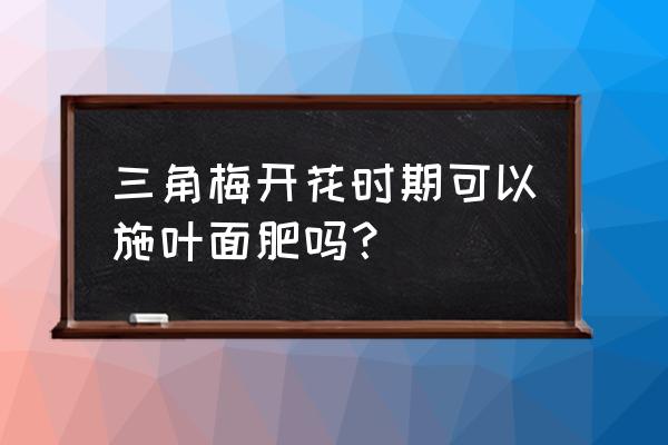 花开花的时候喷叶面肥吗 三角梅开花时期可以施叶面肥吗？