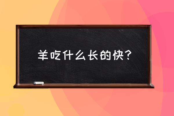 养羊吃什么饲料长的很快 羊吃什么长的快？