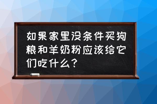 如果没有羊奶粉小奶狗吃什么 如果家里没条件买狗粮和羊奶粉应该给它们吃什么？