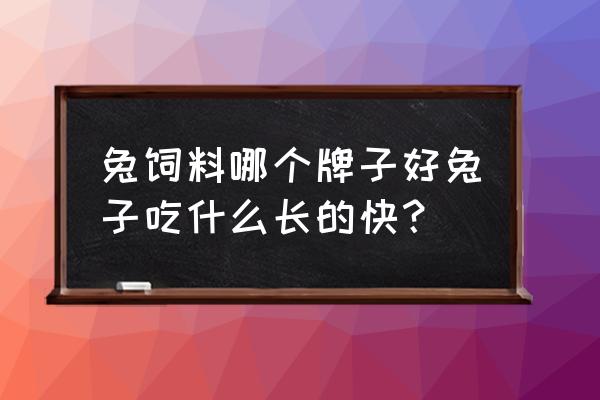 兔子什么饲料好 兔饲料哪个牌子好兔子吃什么长的快？