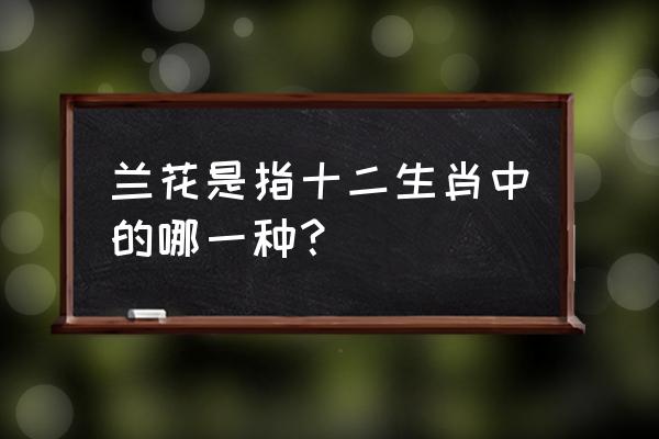 问丑女家中种兰花是指什么生肖 兰花是指十二生肖中的哪一种？