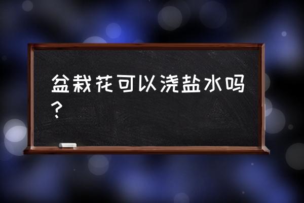 水养的兰花里可以倒盐吗 盆栽花可以浇盐水吗？