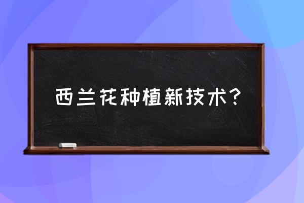 西兰花要怎么种植 西兰花种植新技术？