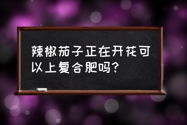 复合肥可以浇番茄茄子辣椒吗 辣椒茄子正在开花可以上复合肥吗？