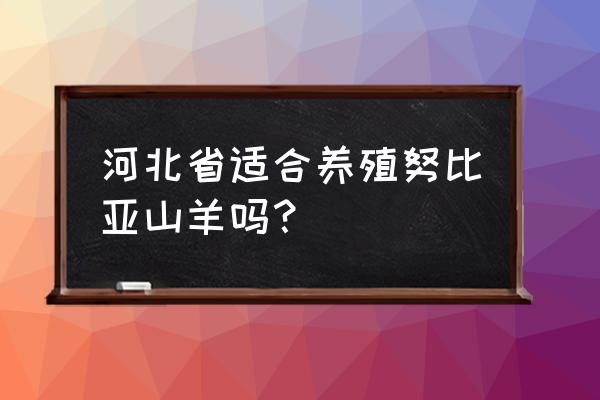 邢台地区养什么羊 河北省适合养殖努比亚山羊吗？