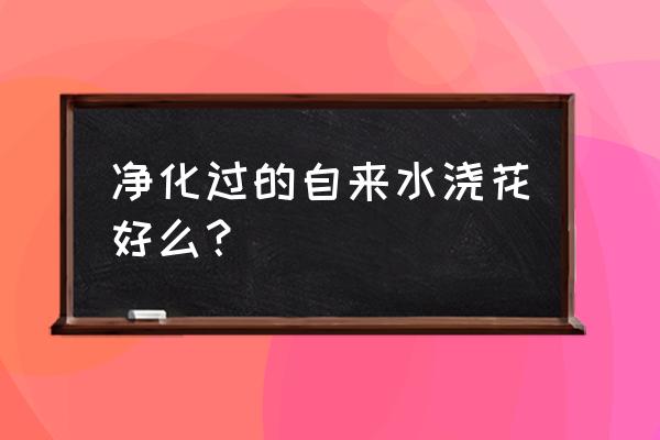 净化水可以用来养花吗 净化过的自来水浇花好么？